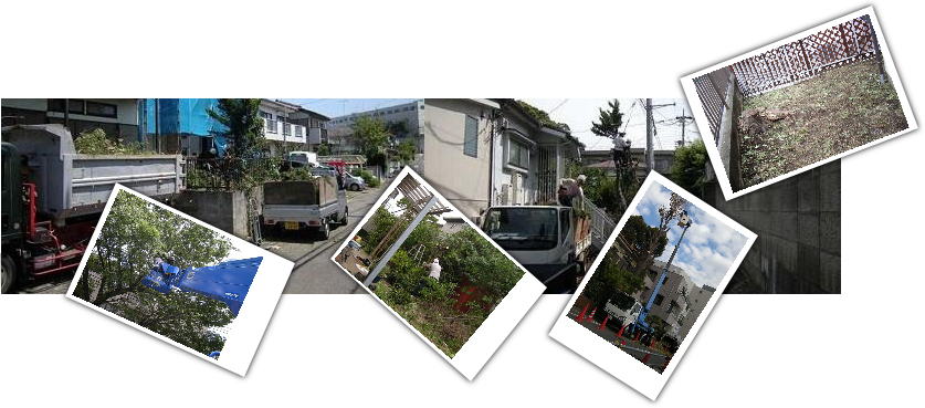 ��؁E���؂̔��́A������A��ΓP��������܂��B